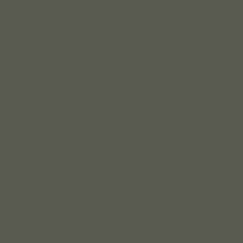 Mission Models - Acrylic Model Paint 1 oz Bottle, Schwarzgrun RLM 66