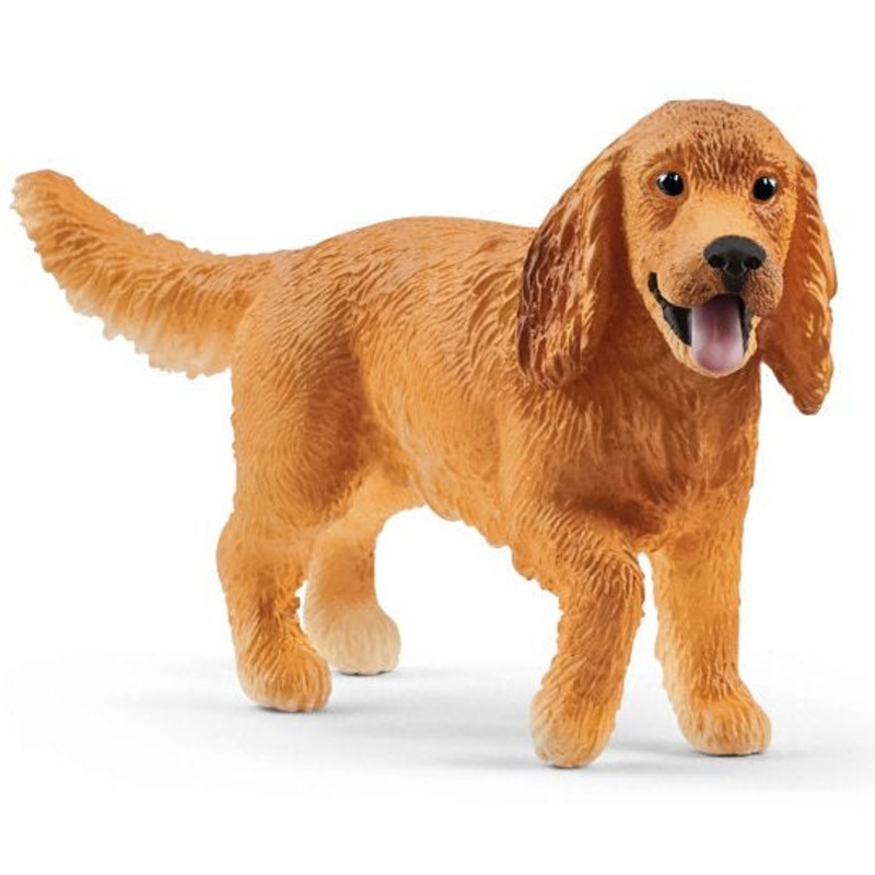 #13896S English Cocker Spaniel