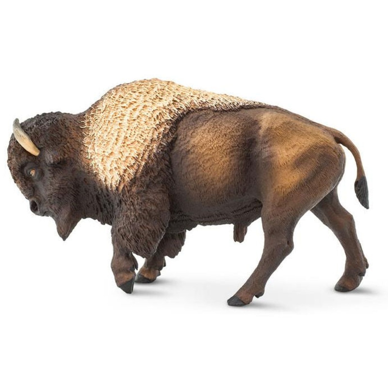 #100152 Bison