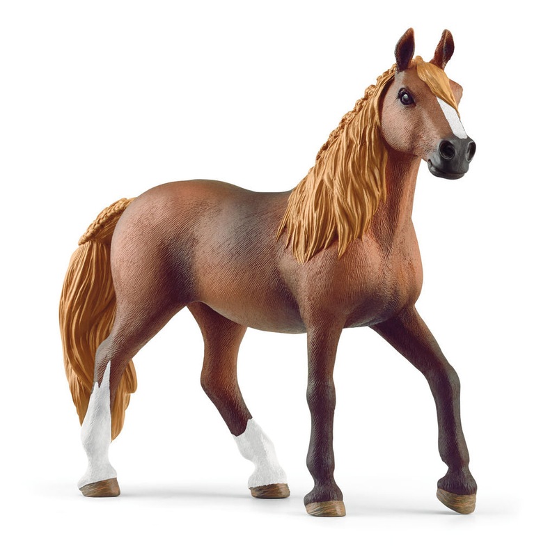 #13953S Peruvian Paso Mare