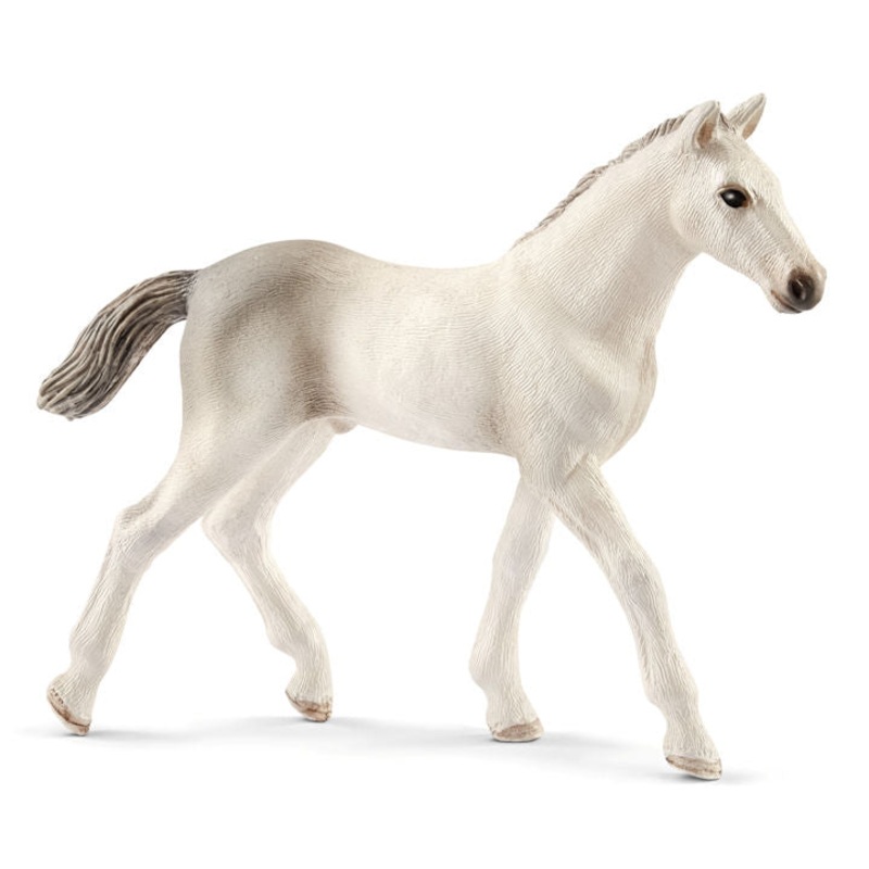 #13860S Holsteiner Foal