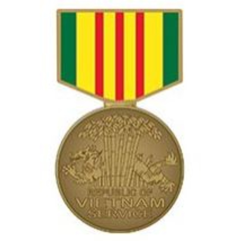 VIETNAM SERVICE MEDAL PIN