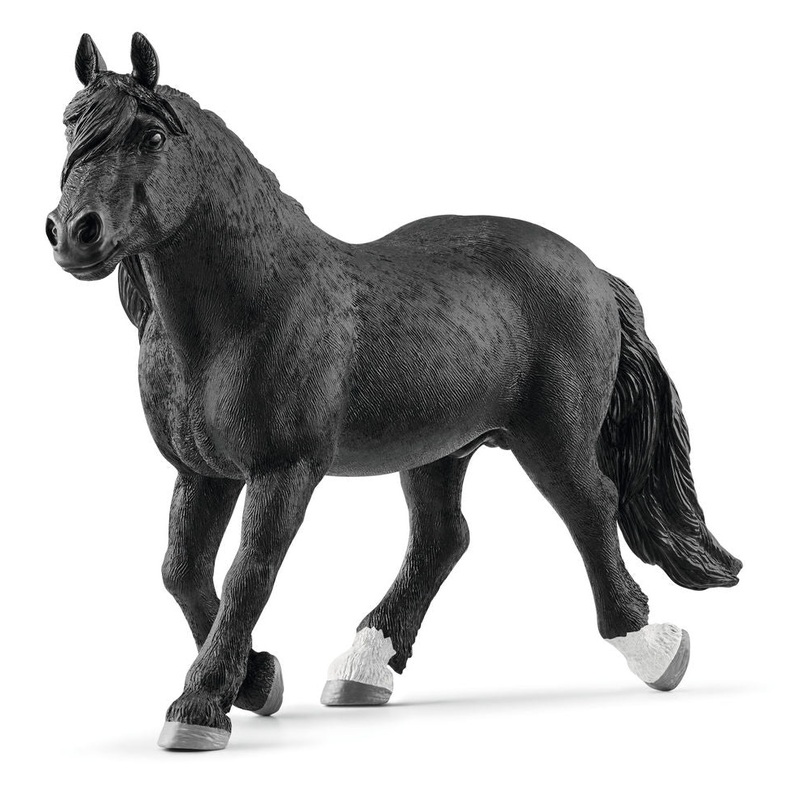 #13958S Noriker Stallion